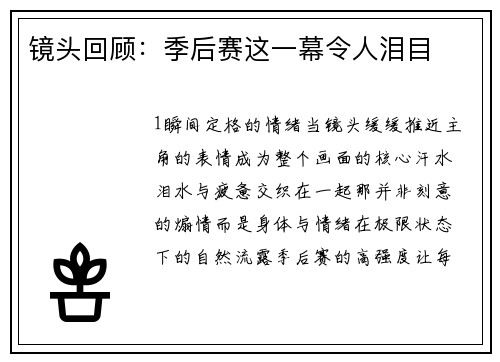 镜头回顾：季后赛这一幕令人泪目
